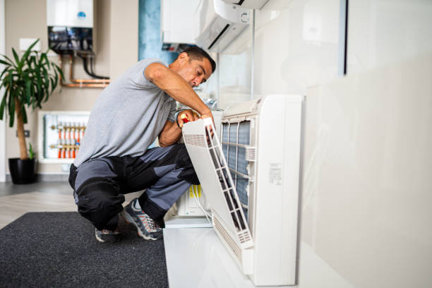 Air Duct Mold Removal in Wheeling, IL